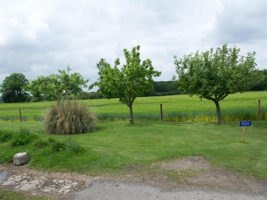 Woodview B Colchester Birch Εξωτερικό φωτογραφία